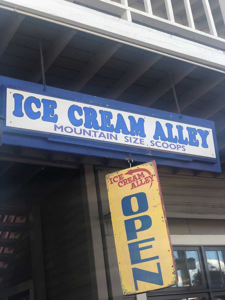 ice cream alley mccall